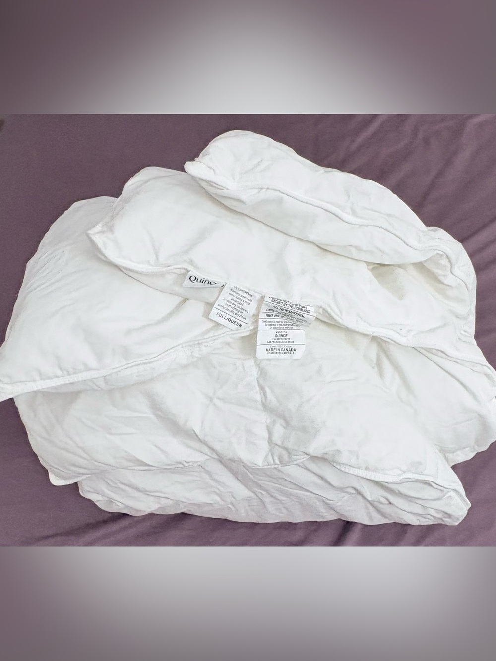 Quince Full/Queen Premium Down Alternative All Season Comforter Duvet Insert